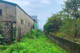 (Hình ảnh minh họa)