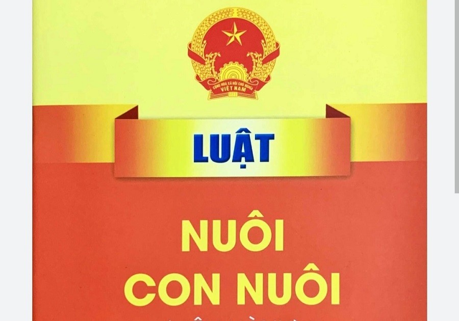 Luật Nuôi con nuôi năm 2010 (Hình minh họa)