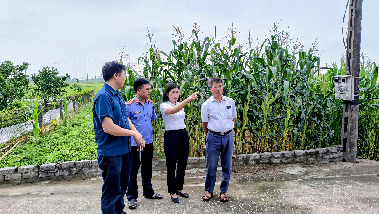 Kiểm sát viên tham gia buổi thẩm định tại chỗ
