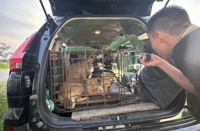 Ảnh: Xe ô tô là vật chứng của vụ án. 