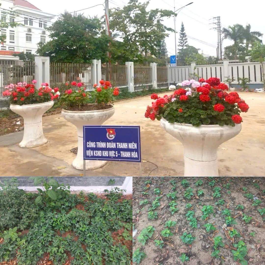 Ảnh: Công trình Đoàn thanh niên