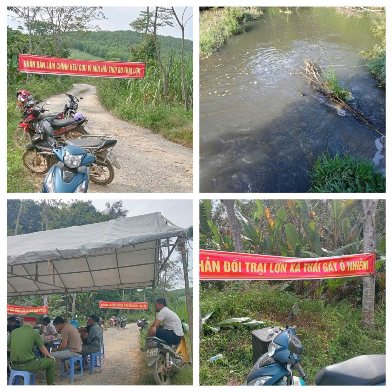 Người dân tập trung yêu cầu xử lý tình trang ô nhiễm môi trường do  trang trại lợn gây ra